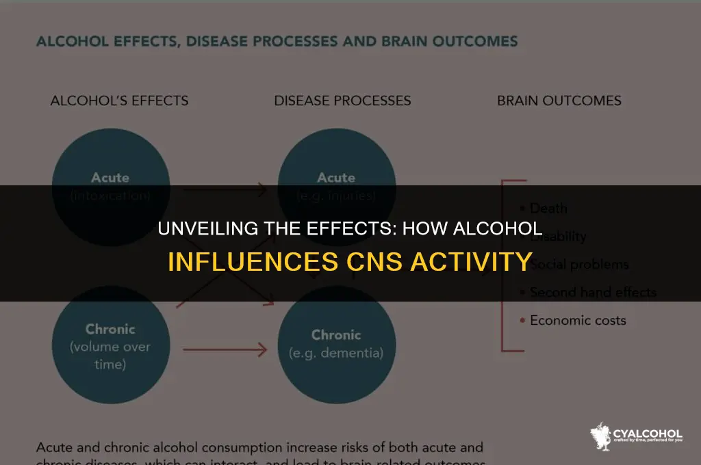 does alcohol slow cns activity