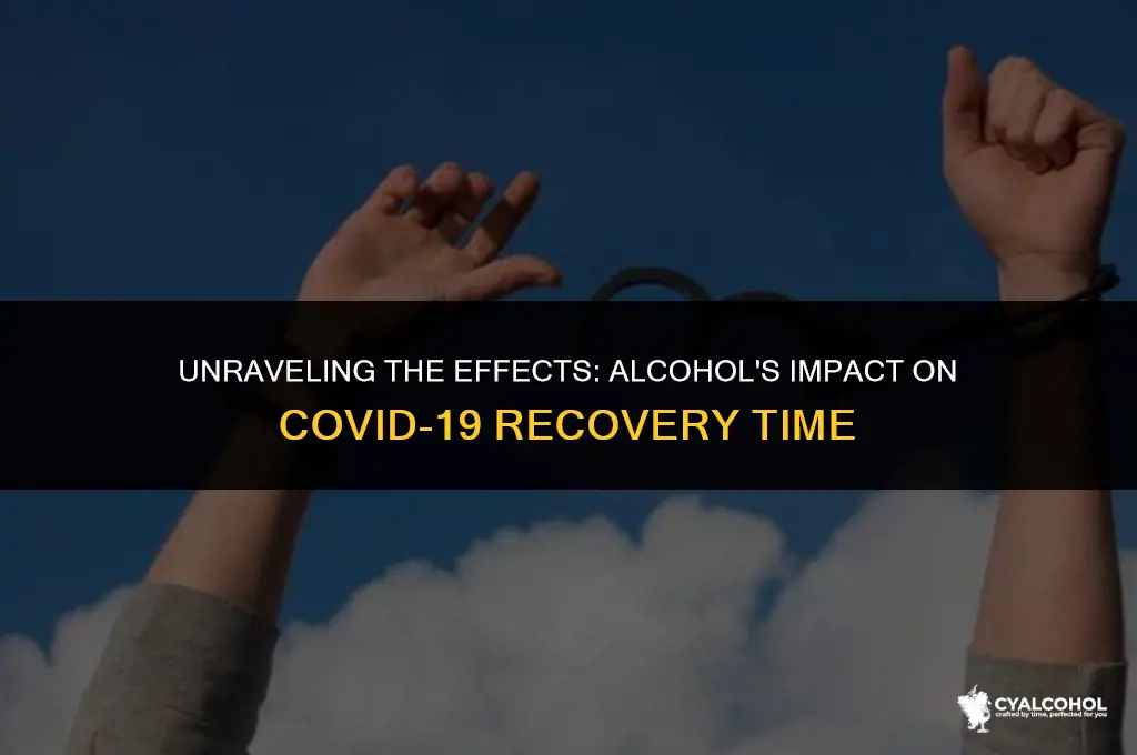 does alcohol slow covid recovery