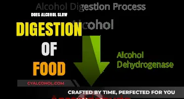 Alcohol's Impact: How Drinking Affects Your Food Digestion Process