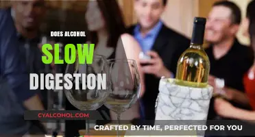 Alcohol's Impact: How Drinking Affects Your Digestive System and Process