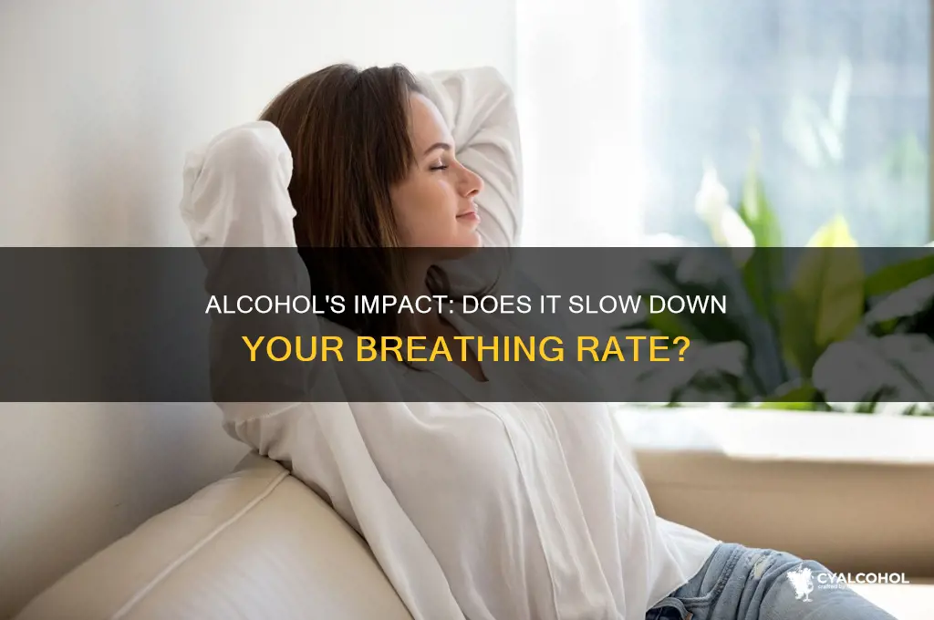 does alcohol slow down a person