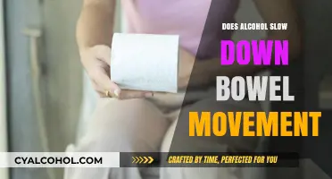 Alcohol's Impact: Does Drinking Slow Down Your Bowel Movements?