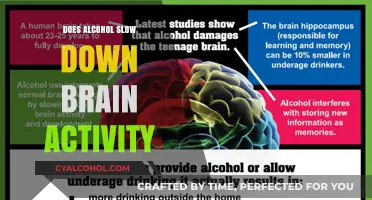 Alcohol's Impact: Does It Slow Down Brain Activity?