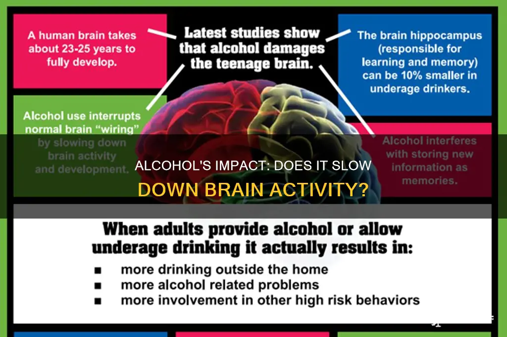 does alcohol slow down brain activity