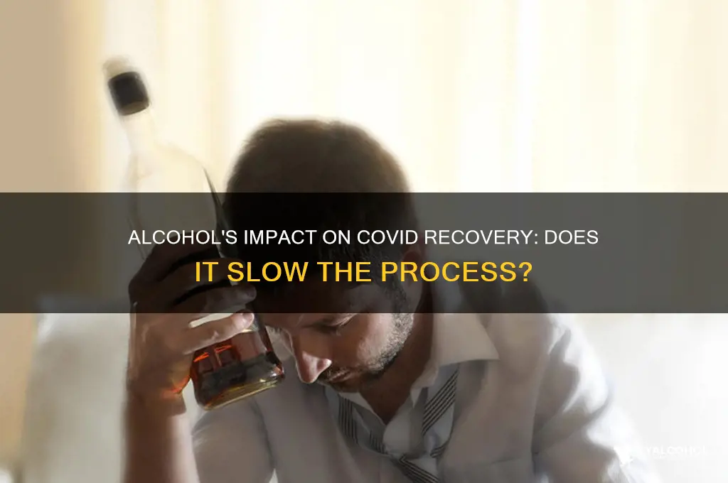 does alcohol slow down covid recovery