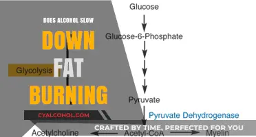 Alcohol's Impact on Fat Burning: Does It Slow Metabolism?