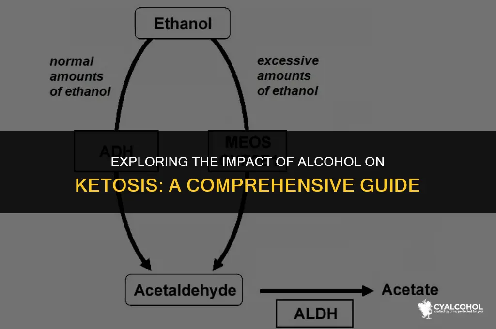 does alcohol slow down keto