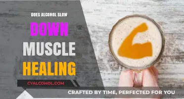 Alcohol's Impact on Muscle Recovery: Does It Slow Healing?