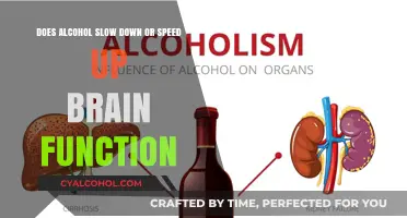Alcohol's Effect: Slowing or Speeding Up Brain Function?