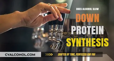 Alcohol's Impact: Does Drinking Slow Down Protein Synthesis?