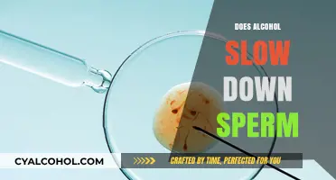 Exploring the Effects of Alcohol on Sperm Health and Fertility