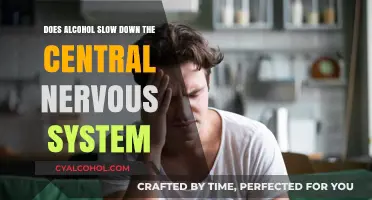 Alcohol's Impact: How It Slows Down the Central Nervous System
