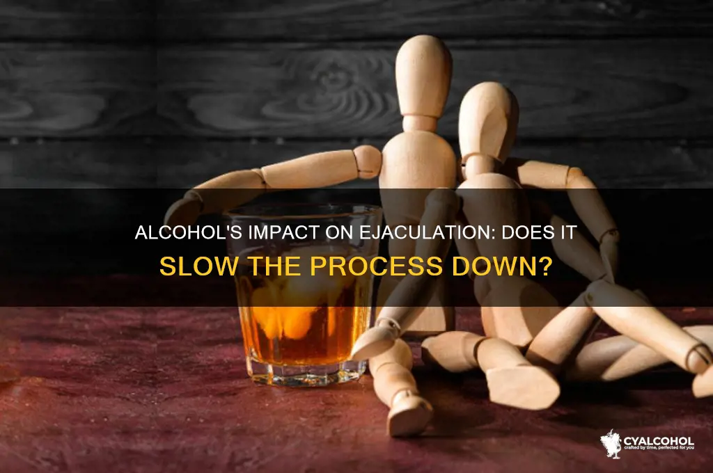 does alcohol slow ejaculation