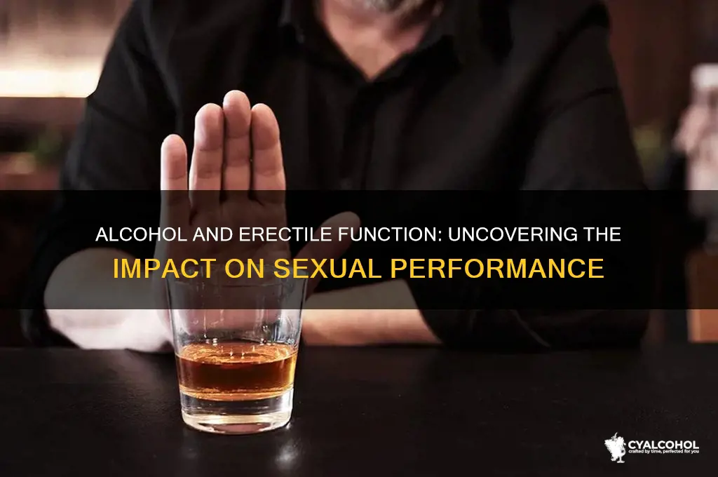 does alcohol slow erections