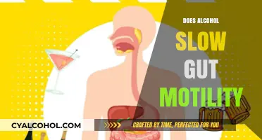 Exploring the Effects of Alcohol on Digestive Health: Gut Motility Insights