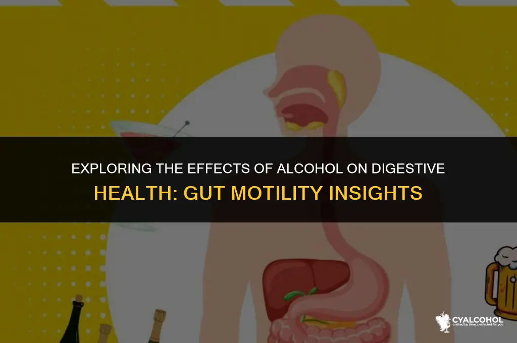 does alcohol slow gut motility