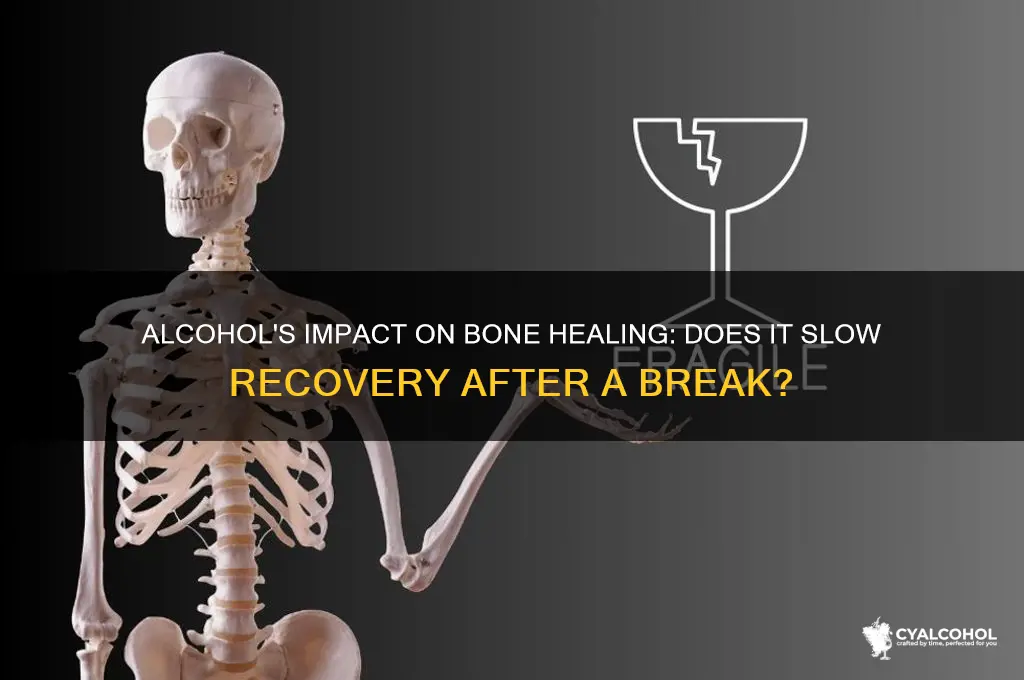 does alcohol slow healing afterbone break