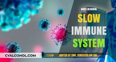 Unveiling the Truth: Alcohol's Impact on Your Immune System