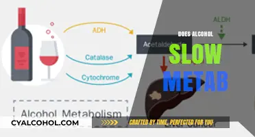 Does Alcohol Slow Metabolism? Uncovering the Truth Behind the Myth