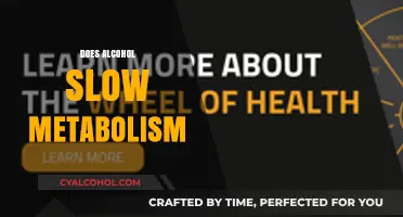 Alcohol's Impact: Does Drinking Slow Down Your Metabolism?