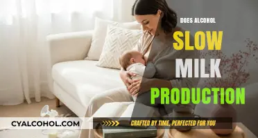 Exploring the Effects of Alcohol on Breast Milk Production