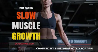 Alcohol and Muscle Growth: Does Drinking Slow Your Fitness Gains?