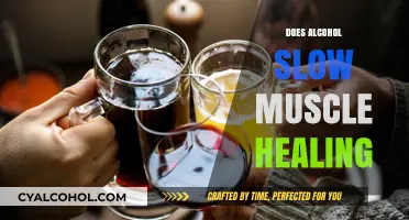 Unveiling the Truth: Alcohol's Impact on Muscle Recovery