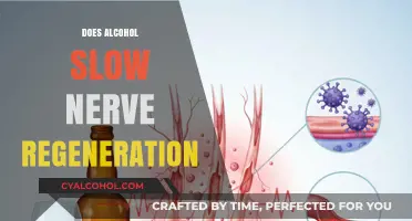 Unveiling the Truth: Alcohol's Impact on Nerve Regeneration Revealed