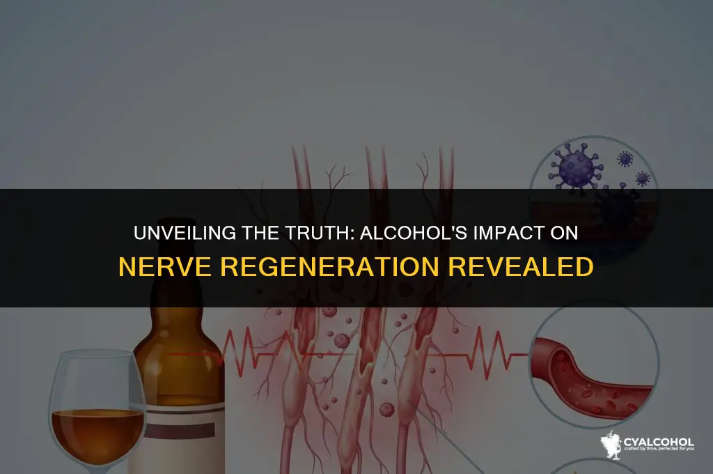 does alcohol slow nerve regeneration