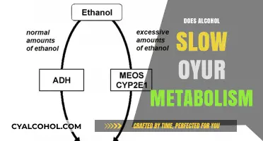 Unveiling the Truth: Alcohol's Impact on Your Metabolic Rate