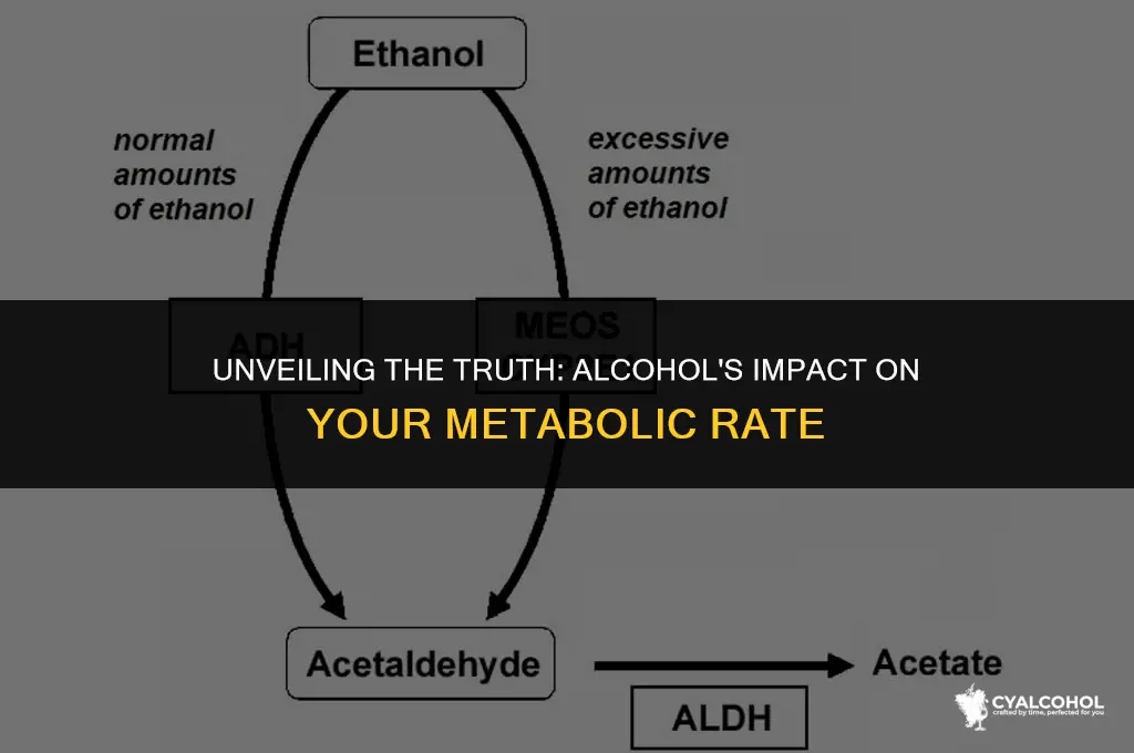 does alcohol slow oyur metabolism