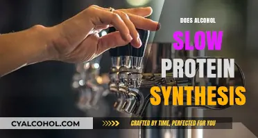 Unraveling the Impact of Alcohol on Protein Synthesis: A Comprehensive Guide