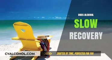 Alcohol's Impact: How Drinking Affects Your Recovery Time and Healing