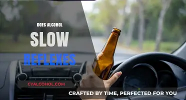 Alcohol's Impact: How Drinking Affects Reflex Speed and Reaction Time