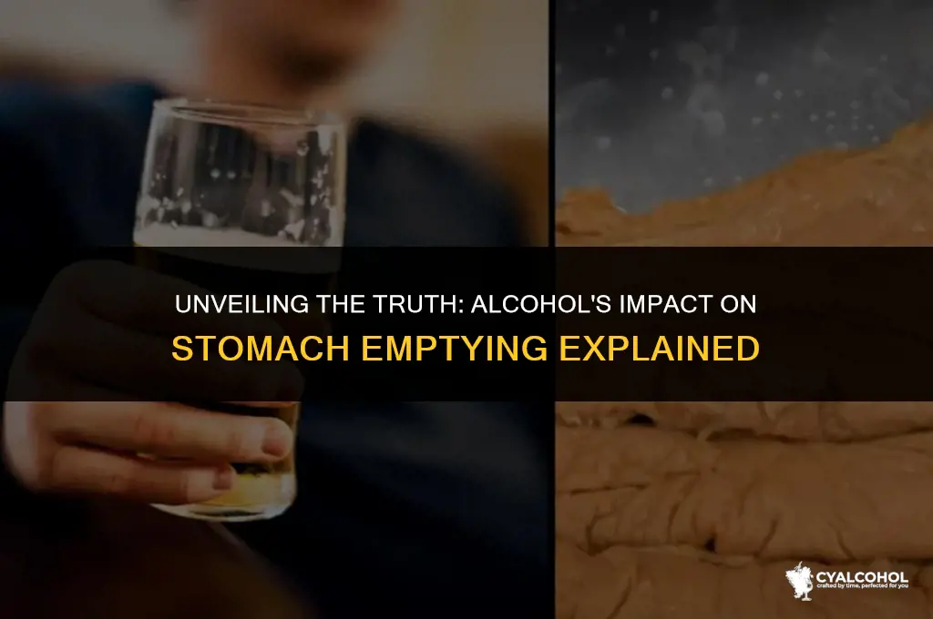 does alcohol slow stomach emptying
