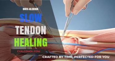 The Impact of Alcohol on Tendon Healing: What You Need to Know