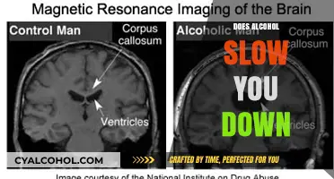 Unveiling the Truth: Alcohol's Impact on Your Cognitive Abilities
