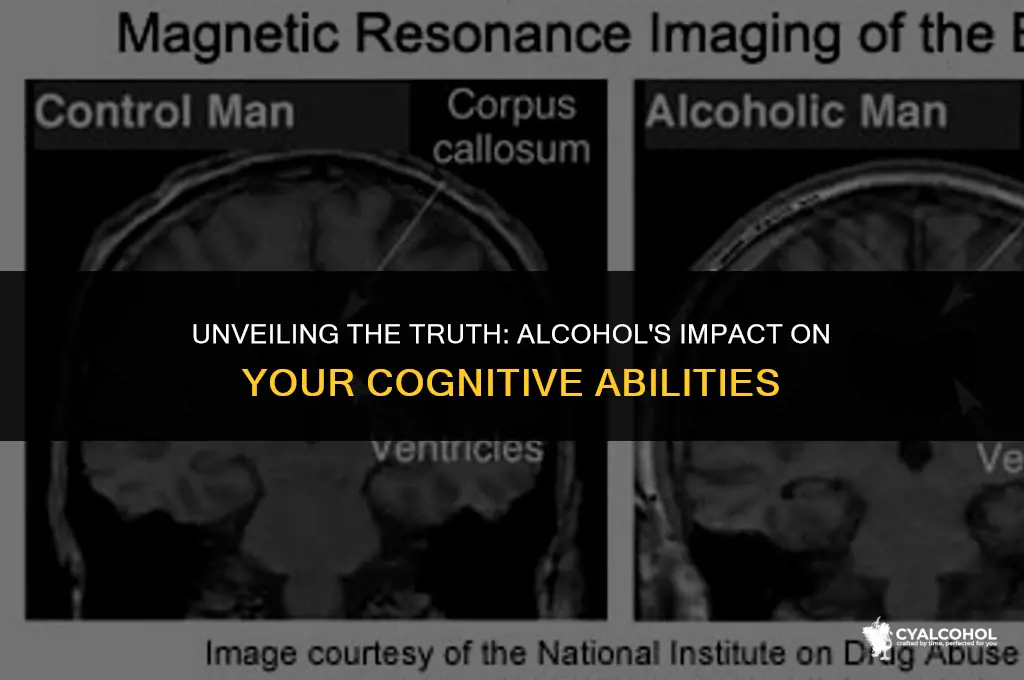 does alcohol slow you down