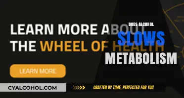Alcohol's Impact: Does Drinking Slow Your Metabolism?