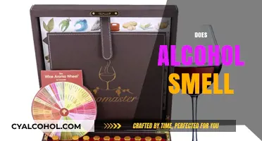 Does Alcohol Smell? Uncovering the Truth Behind Its Distinct Aroma