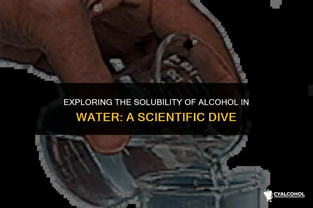 does alcohol soluble in water