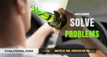 Does Alcohol Solve Problems or Create Bigger Ones?