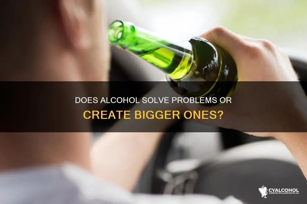 does alcohol solve problems