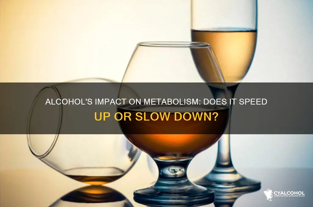 does alcohol speed metabolism