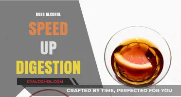 Alcohol's Impact: Does It Accelerate or Disrupt Digestion?