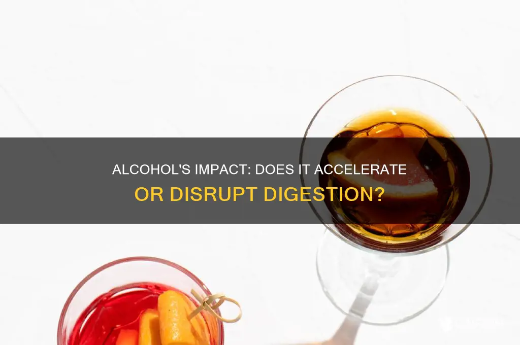 does alcohol speed up digestion