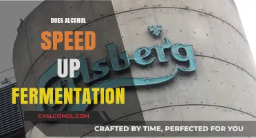 Exploring the Effects of Alcohol on Fermentation Speed