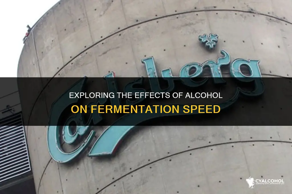 does alcohol speed up fermentation