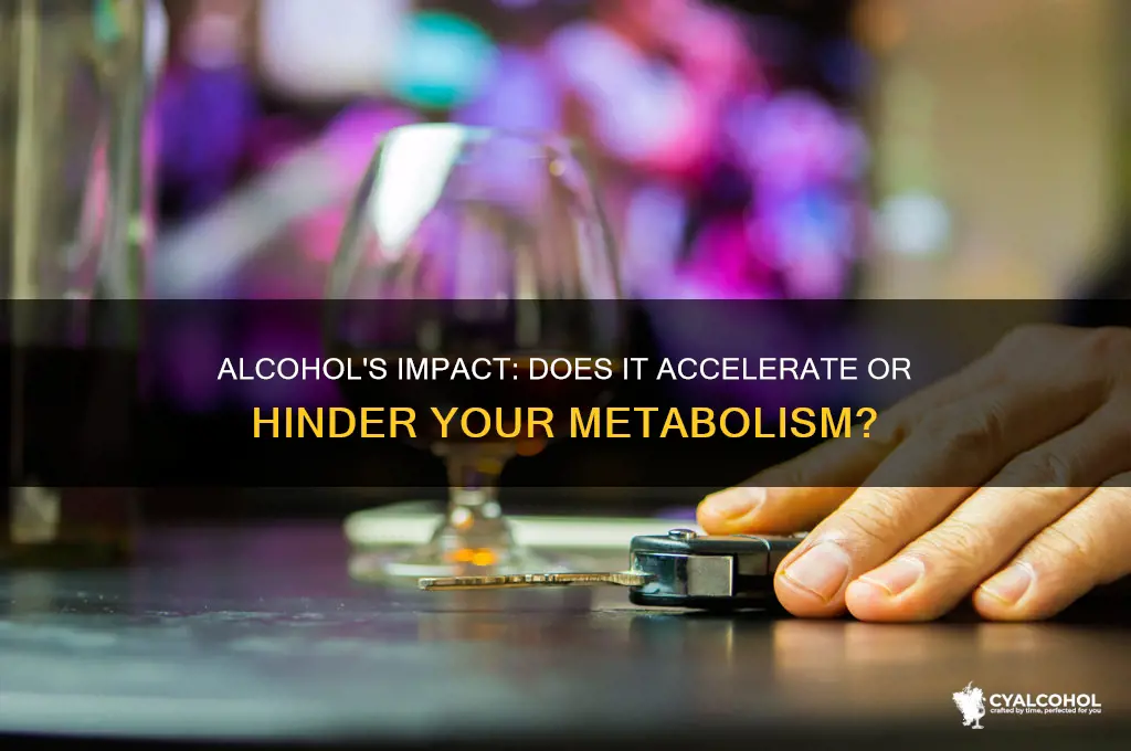 does alcohol speed up or slow down metabolism