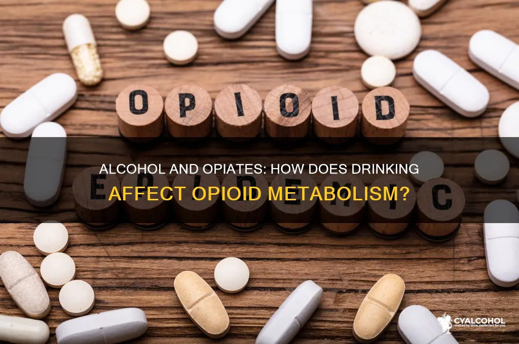 does alcohol speed up the metabolism of opiates